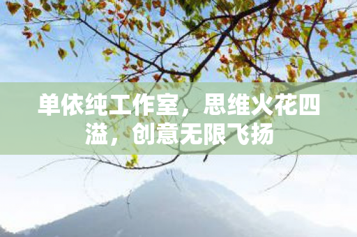 单依纯工作室，思维火花四溢，创意无限飞扬