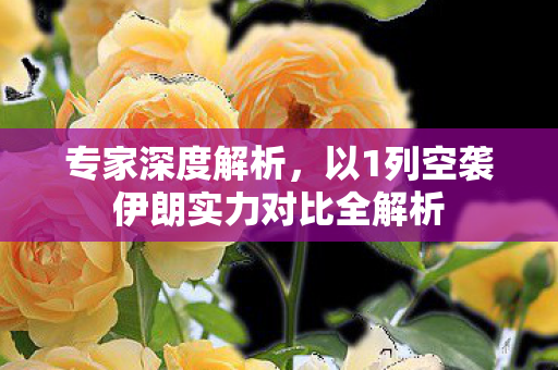 专家深度解析，以1列空袭伊朗实力对比全解析
