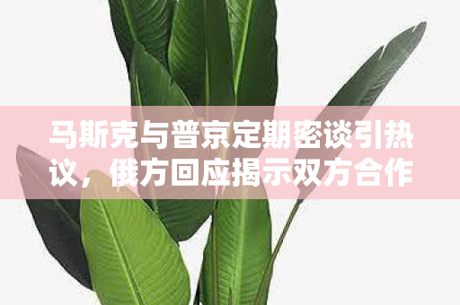 马斯克与普京定期密谈引热议，俄方回应揭示双方合作新动向