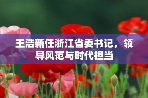 王浩新任浙江省委书记，领导风范与时代担当
