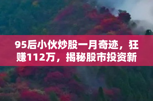 95后小伙炒股一月奇迹，狂赚112万，揭秘股市投资新篇章