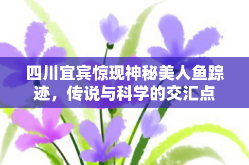 四川宜宾惊现神秘美人鱼踪迹，传说与科学的交汇点