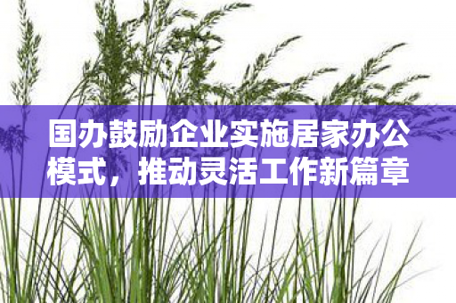 国办鼓励企业实施居家办公模式，推动灵活工作新篇章