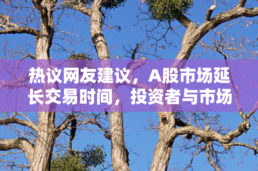 热议网友建议，A股市场延长交易时间，投资者与市场监管部门热议纷纷