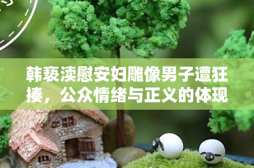 韩亵渎慰安妇雕像男子遭狂揍，公众情绪与正义的体现