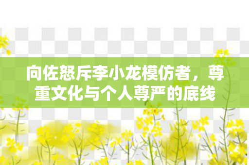 向佐怒斥李小龙模仿者，尊重文化与个人尊严的底线