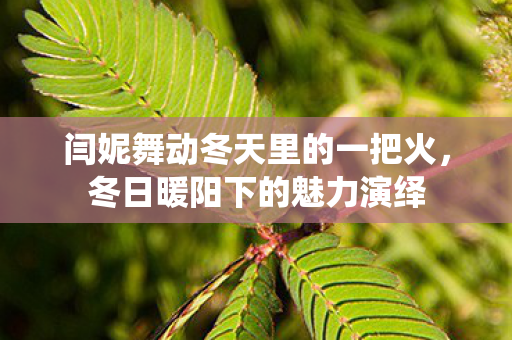 闫妮舞动冬天里的一把火，冬日暖阳下的魅力演绎