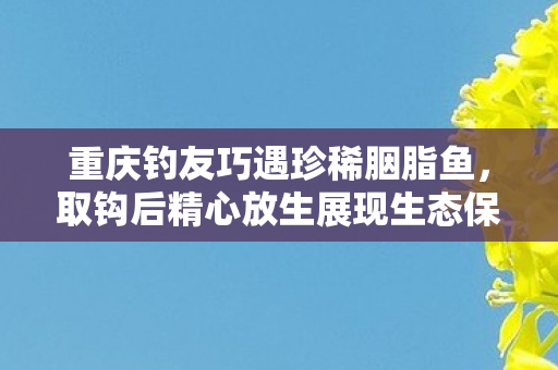 重庆钓友巧遇珍稀胭脂鱼，取钩后精心放生展现生态保护新风尚