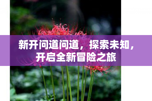 新开问道问道，探索未知，开启全新冒险之旅