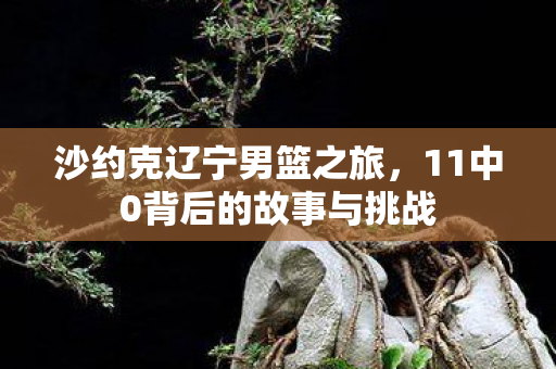 沙约克辽宁男篮之旅，11中0背后的故事与挑战