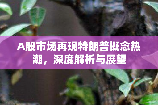 A股市场再现特朗普概念热潮，深度解析与展望