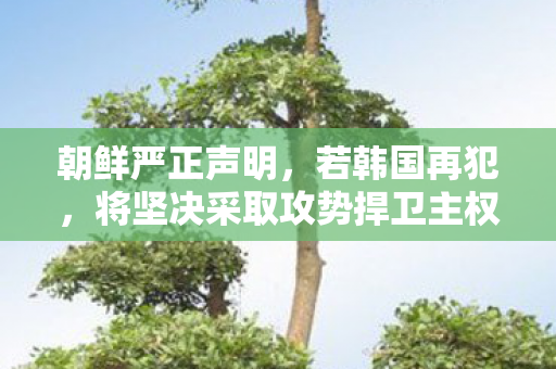 朝鲜严正声明，若韩国再犯，将坚决采取攻势捍卫主权