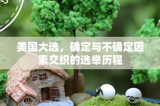 美国大选，确定与不确定因素交织的选举历程