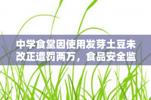中学食堂因使用发芽土豆未改正遭罚两万，食品安全监管不容忽视