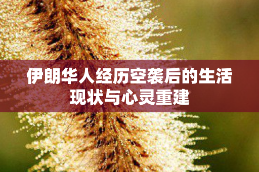 伊朗华人经历空袭后的生活现状与心灵重建