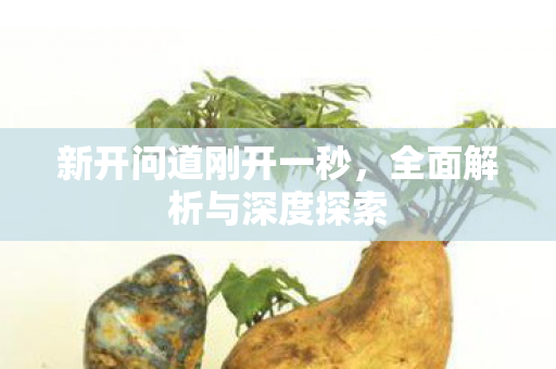 新开问道刚开一秒，全面解析与深度探索
