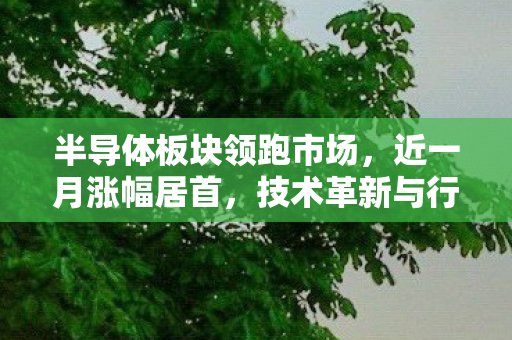 半导体板块领跑市场，近一月涨幅居首，技术革新与行业前景分析
