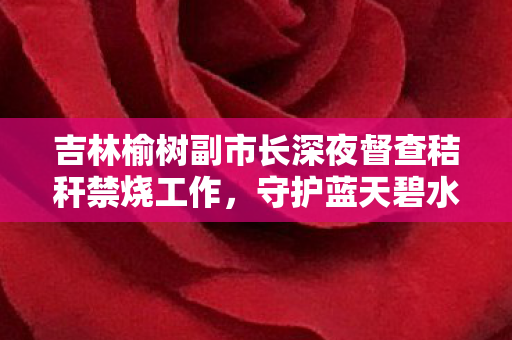 吉林榆树副市长深夜督查秸秆禁烧工作，守护蓝天碧水