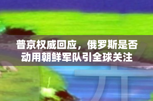 普京权威回应，俄罗斯是否动用朝鲜军队引全球关注