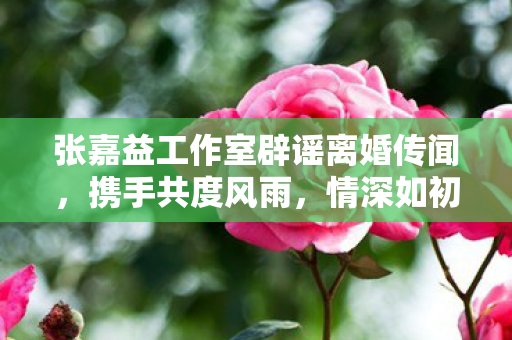 张嘉益工作室辟谣离婚传闻，携手共度风雨，情深如初