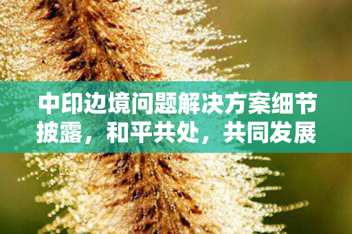中印边境问题解决方案细节披露，和平共处，共同发展