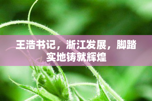 王浩书记，浙江发展，脚踏实地铸就辉煌