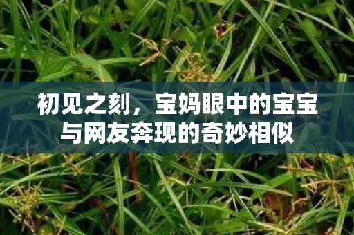 初见之刻，宝妈眼中的宝宝与网友奔现的奇妙相似