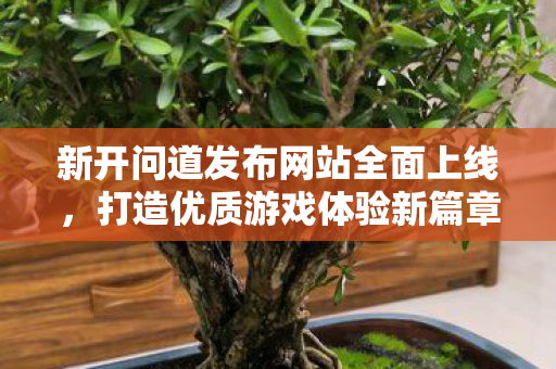 新开问道发布网站全面上线，打造优质游戏体验新篇章