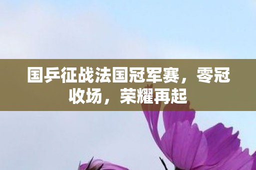 国乒征战法国冠军赛，零冠收场，荣耀再起