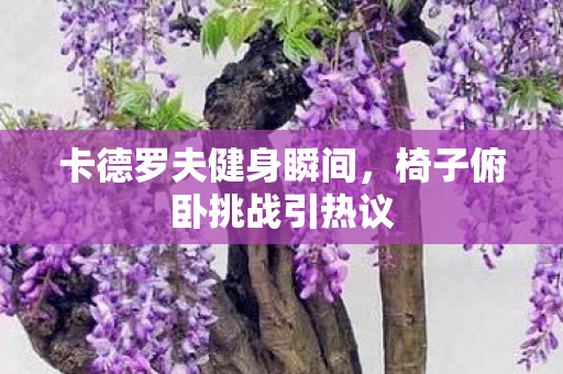卡德罗夫健身瞬间，椅子俯卧挑战引热议
