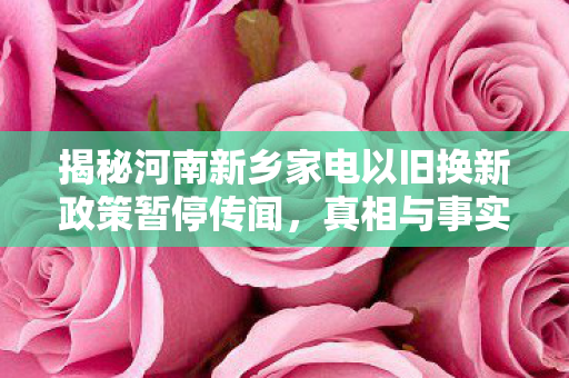 揭秘河南新乡家电以旧换新政策暂停传闻，真相与事实的较量