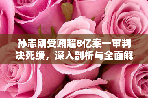 孙志刚受贿超8亿案一审判决死缓，深入剖析与全面解读