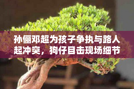 孙俪邓超为孩子争执与路人起冲突，狗仔目击现场细节曝光