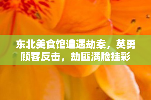 东北美食馆遭遇劫案，英勇顾客反击，劫匪满脸挂彩