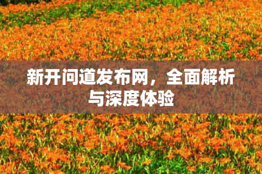 新开问道发布网，全面解析与深度体验