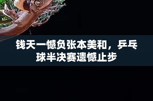 钱天一憾负张本美和，乒乓球半决赛遗憾止步