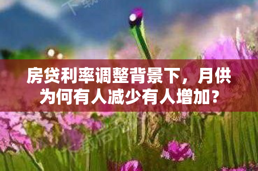 房贷利率调整背景下，月供为何有人减少有人增加？