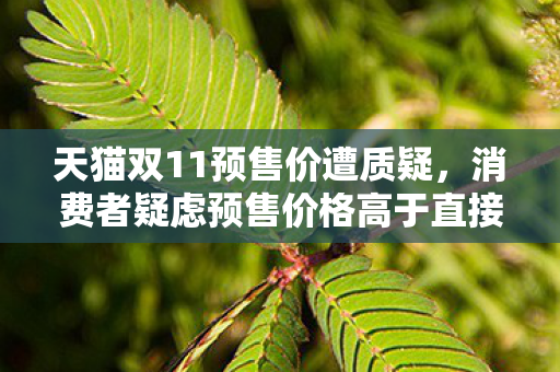 天猫双11预售价遭质疑，消费者疑虑预售价格高于直接购买