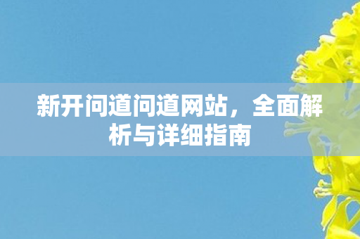 新开问道问道网站，全面解析与详细指南