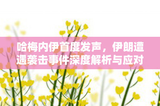 哈梅内伊首度发声，伊朗遭遇袭击事件深度解析与应对策略