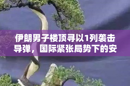 伊朗男子楼顶寻以1列袭击导弹，国际紧张局势下的安全探索
