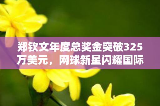 郑钦文年度总奖金突破325万美元，网球新星闪耀国际赛场