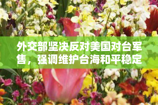 外交部坚决反对美国对台军售，强调维护台海和平稳定