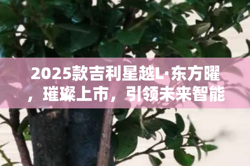 2025款吉利星越L·东方曜，璀璨上市，引领未来智能出行新风尚