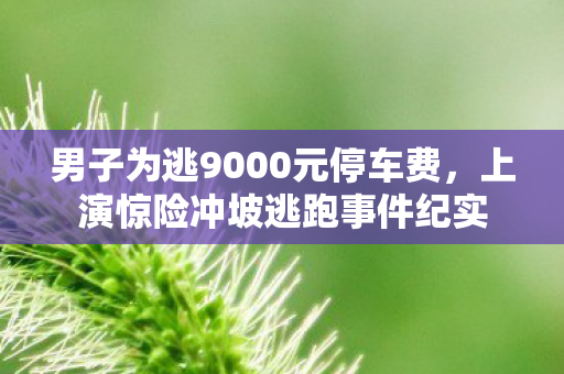 男子为逃9000元停车费，上演惊险冲坡逃跑事件纪实