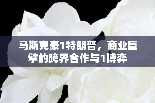 马斯克豪1特朗普，商业巨擘的跨界合作与1博弈