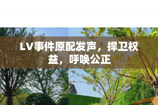 LV事件原配发声，捍卫权益，呼唤公正
