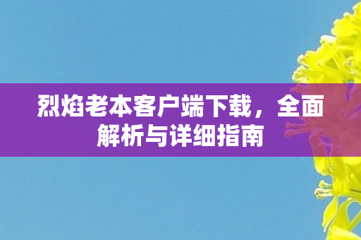 烈焰老本客户端下载，全面解析与详细指南