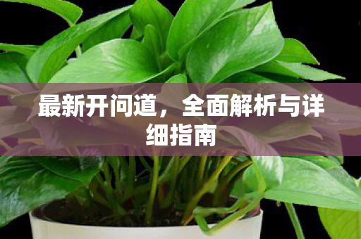 最新开问道，全面解析与详细指南