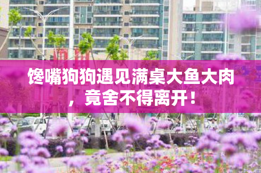 馋嘴狗狗遇见满桌大鱼大肉，竟舍不得离开！